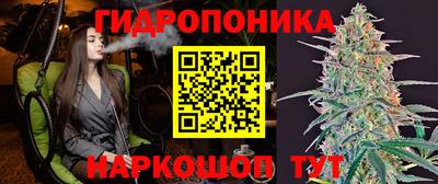 кокс Канаш