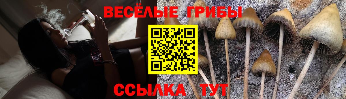 Псилоцибиновые грибы Magic Shrooms Кудымкар